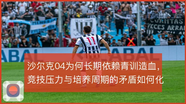 沙尔克04为何长期依赖青训造血,竞技压力与培养周期的矛盾如何化解